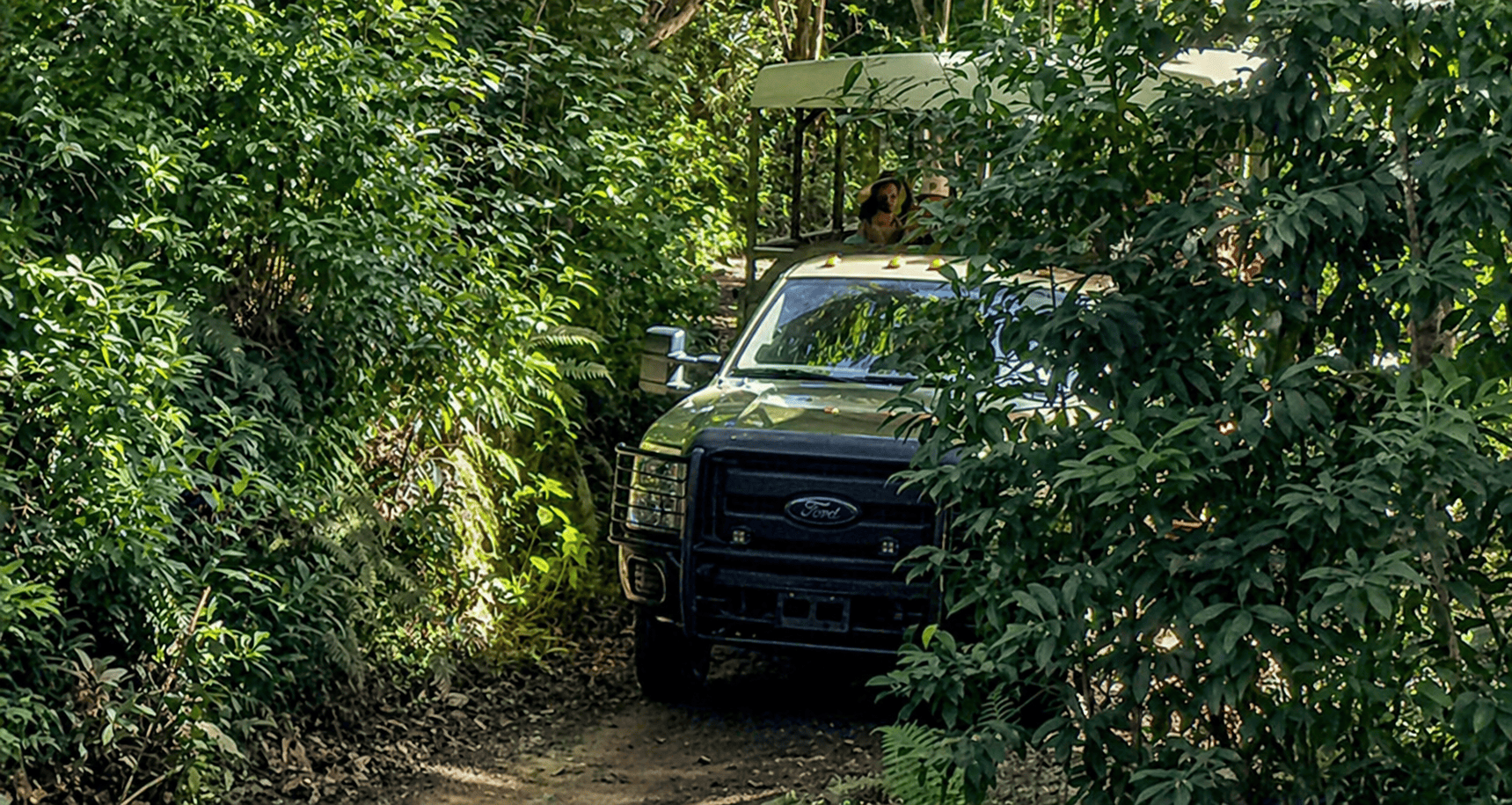 Kualoa Ranch Jungle Expedition
